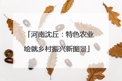 河南沈丘：特色农业绘就乡村振兴新图景