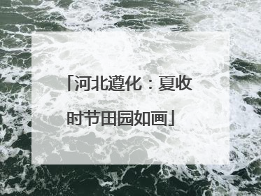 河北遵化：夏收时节田园如画