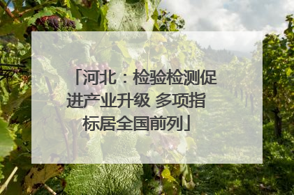 河北：检验检测促进产业升级 多项指标居全国前列