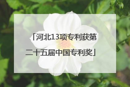 河北13项专利获第二十五届中国专利奖