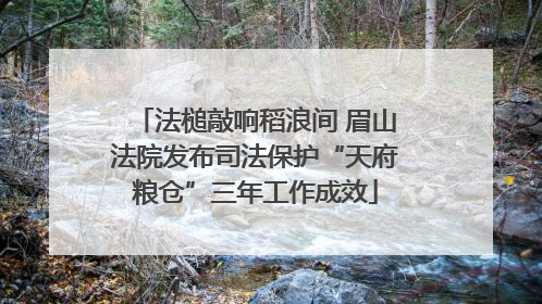 法槌敲响稻浪间 眉山法院发布司法保护“天府粮仓”三年工作成效