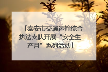 泰安市交通运输综合执法支队开展“安全生产月”系列活动