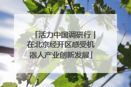 活力中国调研行｜在北京经开区感受机器人产业创新发展