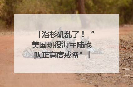 洛杉矶乱了！“美国现役海军陆战队正高度戒备”