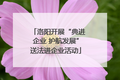 洛阳开展“典进企业 护航发展”送法进企业活动