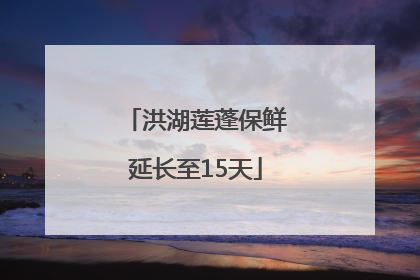 洪湖莲蓬保鲜延长至15天