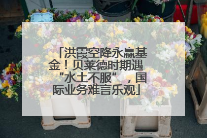 洪霞空降永赢基金！贝莱德时期遇“水土不服”，国际业务难言乐观