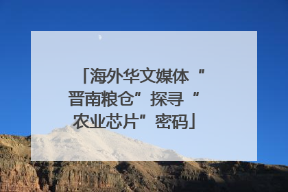 海外华文媒体“晋南粮仓”探寻“农业芯片”密码