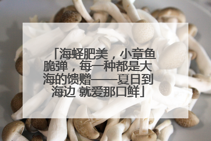 海蛏肥美，小章鱼脆弹，每一种都是大海的馈赠——夏日到海边 就爱那口鲜