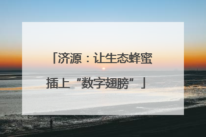 济源：让生态蜂蜜插上“数字翅膀”