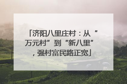 济阳八里庄村：从“万元村”到“新八里”，强村富民路正宽