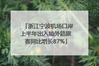 浙江宁波机场口岸上半年出入境外籍旅客同比增长87%
