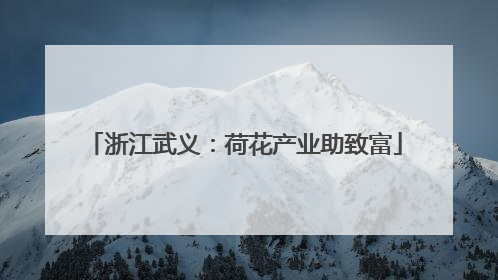 浙江武义：荷花产业助致富