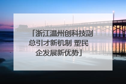 浙江温州创科技副总引才新机制 塑民企发展新优势