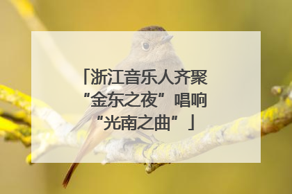 浙江音乐人齐聚“金东之夜”唱响“光南之曲”