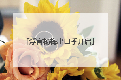 浮宫杨梅出口季开启