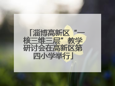 淄博高新区“一核三维三层”教学研讨会在高新区第四小学举行