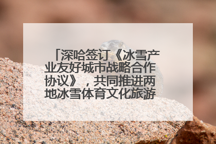 深哈签订《冰雪产业友好城市战略合作协议》，共同推进两地冰雪体育文化旅游高质量发展