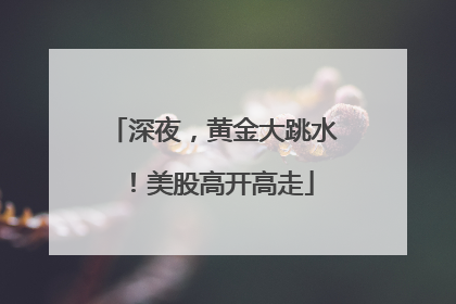 深夜，黄金大跳水！美股高开高走