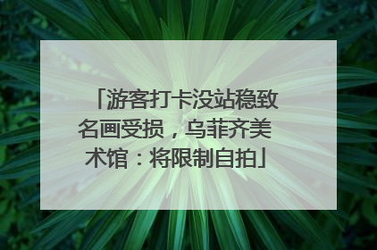 游客打卡没站稳致名画受损，乌菲齐美术馆：将限制自拍