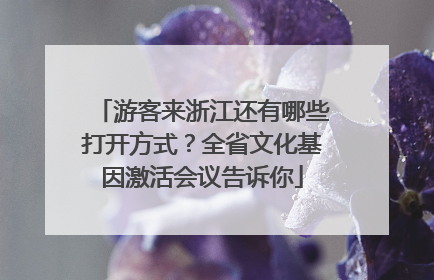 游客来浙江还有哪些打开方式？全省文化基因激活会议告诉你