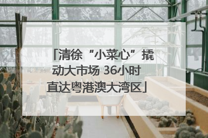 清徐“小菜心”撬动大市场 36小时直达粤港澳大湾区