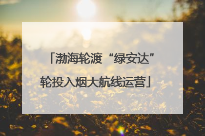 渤海轮渡“绿安达”轮投入烟大航线运营
