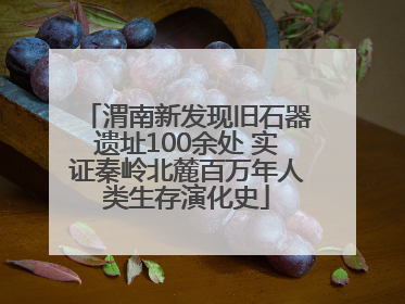 渭南新发现旧石器遗址100余处 实证秦岭北麓百万年人类生存演化史