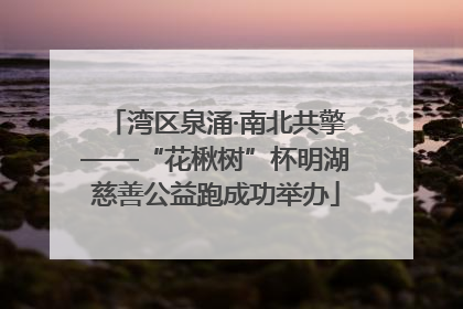 湾区泉涌·南北共擎——“花楸树”杯明湖慈善公益跑成功举办