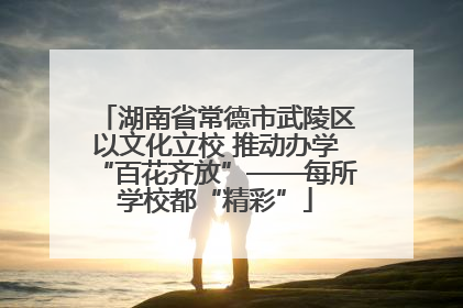 湖南省常德市武陵区以文化立校 推动办学“百花齐放”——每所学校都“精彩”
