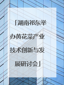 湖南祁东举办黄花菜产业技术创新与发展研讨会