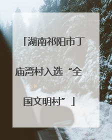 湖南祁阳市丁庙湾村入选“全国文明村”