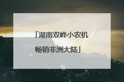 湖南双峰小农机畅销非洲大陆