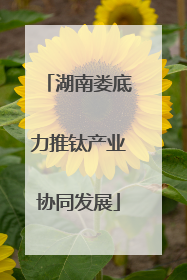 湖南娄底力推钛产业协同发展