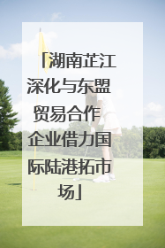 湖南芷江深化与东盟贸易合作 企业借力国际陆港拓市场