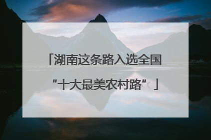 湖南这条路入选全国“十大最美农村路”