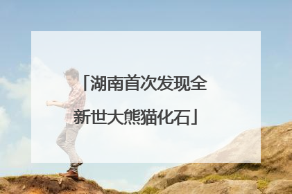 湖南首次发现全新世大熊猫化石