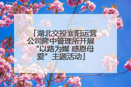 湖北交投襄阳运营公司隆中管理所开展“以路为媒 感恩母爱”主题活动