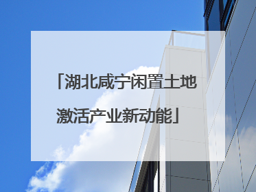 湖北咸宁闲置土地激活产业新动能