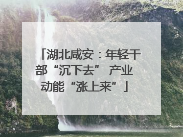 湖北咸安：年轻干部“沉下去” 产业动能“涨上来”