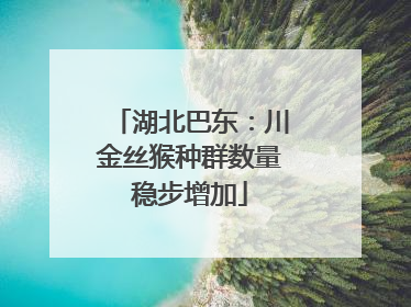 湖北巴东：川金丝猴种群数量稳步增加