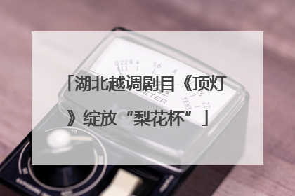 湖北越调剧目《顶灯》绽放“梨花杯”