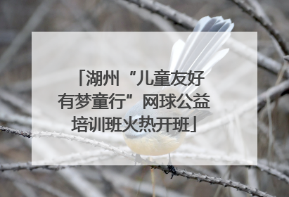 湖州“儿童友好 有梦童行”网球公益培训班火热开班