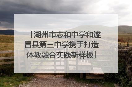 湖州市志和中学和遂昌县第三中学携手打造体教融合实践新样板