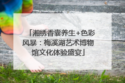 湘绣香囊养生+色彩风暴：梅溪湖艺术博物馆文化体验盛宴