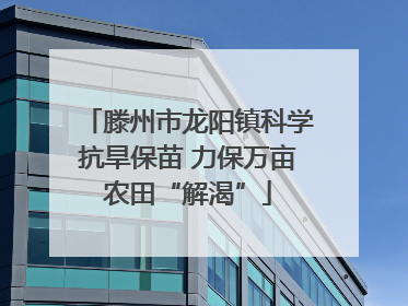滕州市龙阳镇科学抗旱保苗 力保万亩农田“解渴”