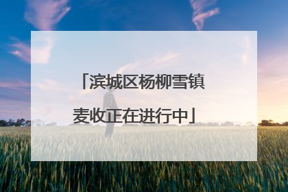 滨城区杨柳雪镇麦收正在进行中