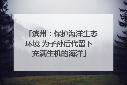 滨州：保护海洋生态环境 为子孙后代留下充满生机的海洋