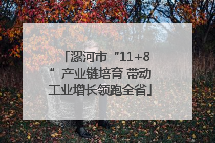 漯河市“11+8”产业链培育 带动工业增长领跑全省