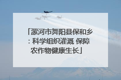 漯河市舞阳县保和乡：科学组织灌溉 保障农作物健康生长